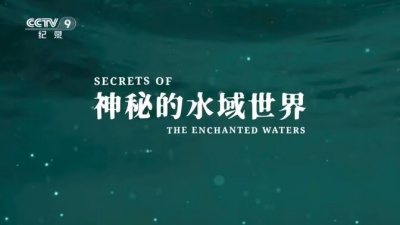 神秘的水域世界