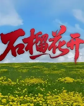 石榴花开