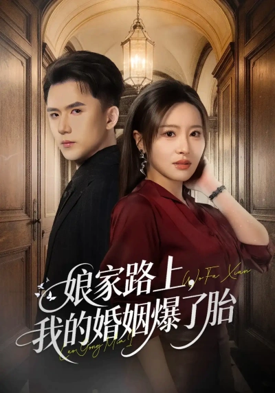娘家路上，我的婚姻爆了胎